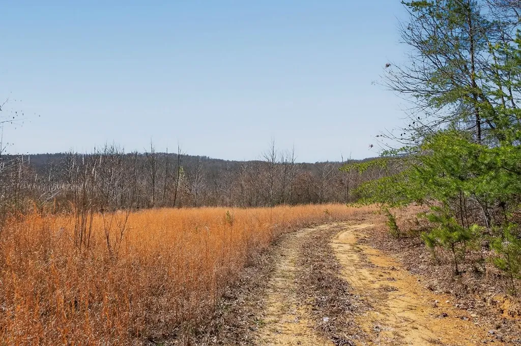 573AC Daus Mountain Road Palmer TN 38365
