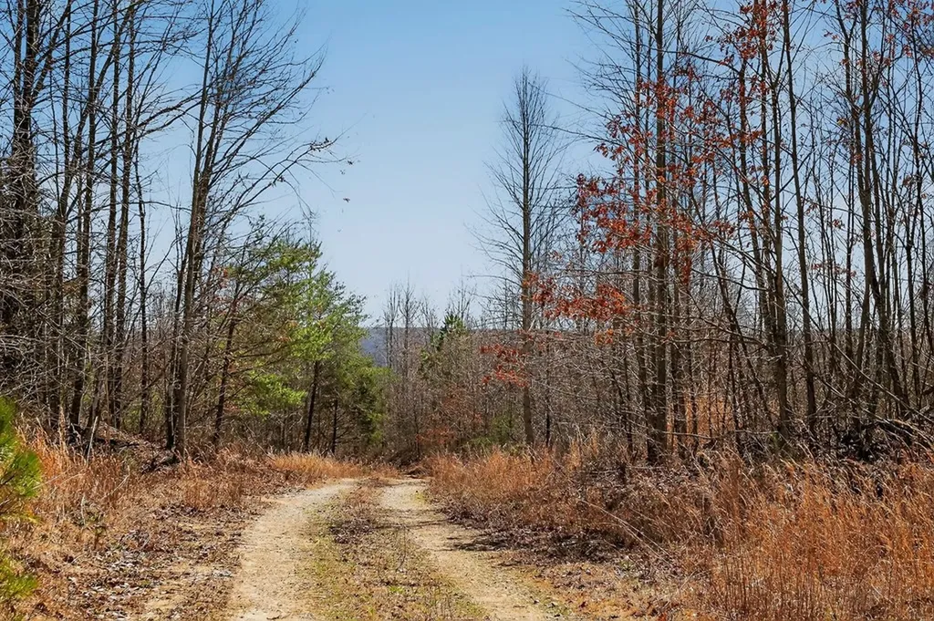 573AC Daus Mountain Road Palmer TN 38365