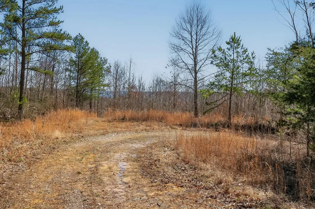 573AC Daus Mountain Road Palmer TN 38365