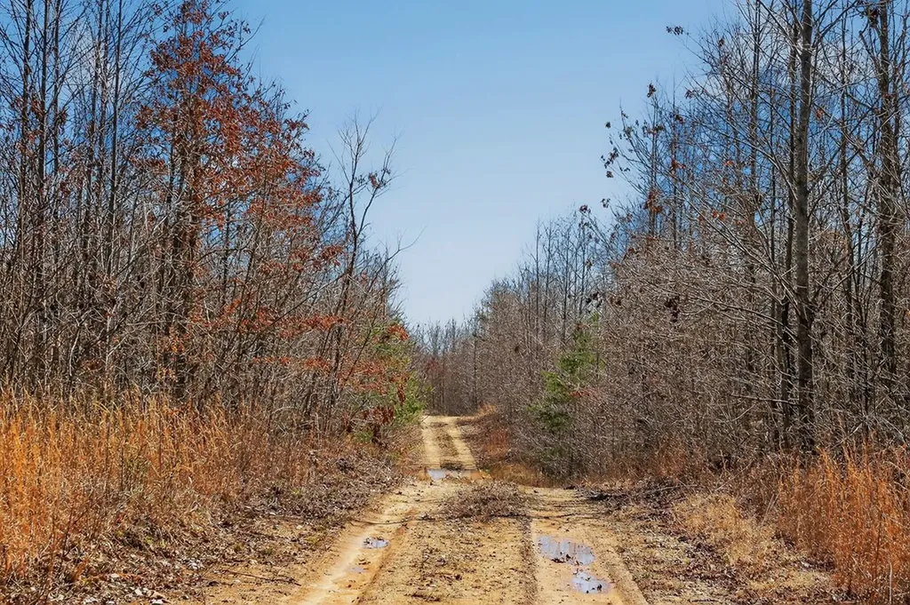 573AC Daus Mountain Road Palmer TN 38365