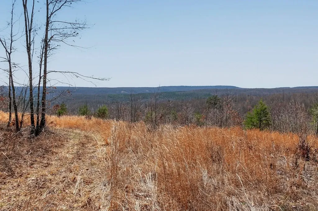 573AC Daus Mountain Road Palmer TN 38365