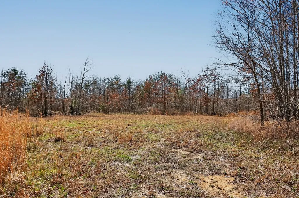 573AC Daus Mountain Road Palmer TN 38365