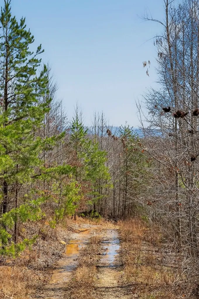 573AC Daus Mountain Road Palmer TN 38365