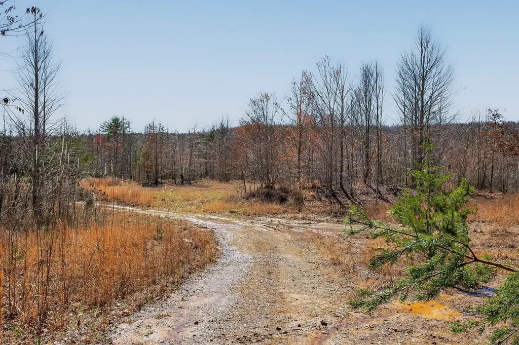573AC Daus Mountain Road Palmer TN 38365