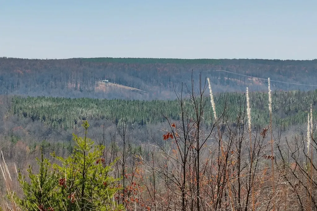 573AC Daus Mountain Road Palmer TN 38365