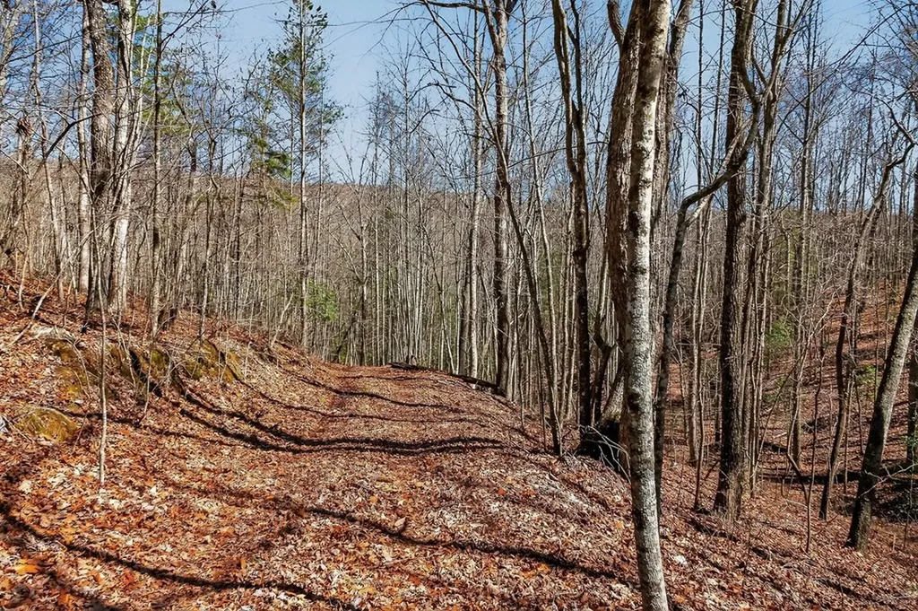 573AC Daus Mountain Road Palmer TN 38365