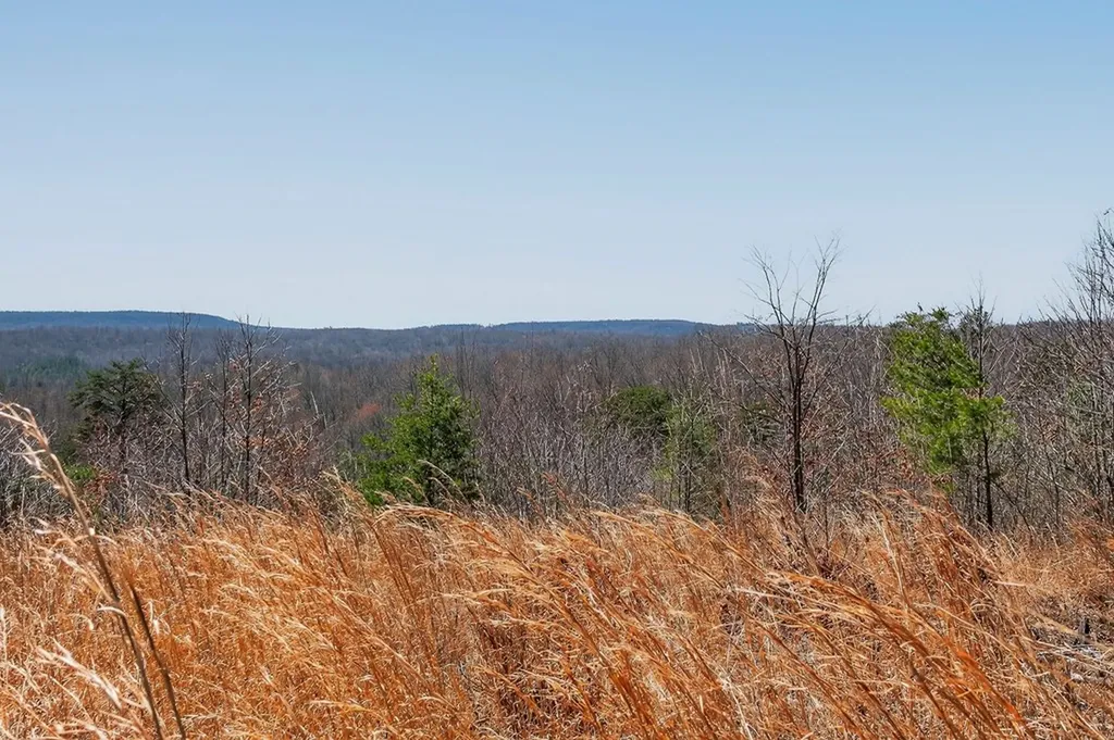 573AC Daus Mountain Road Palmer TN 38365