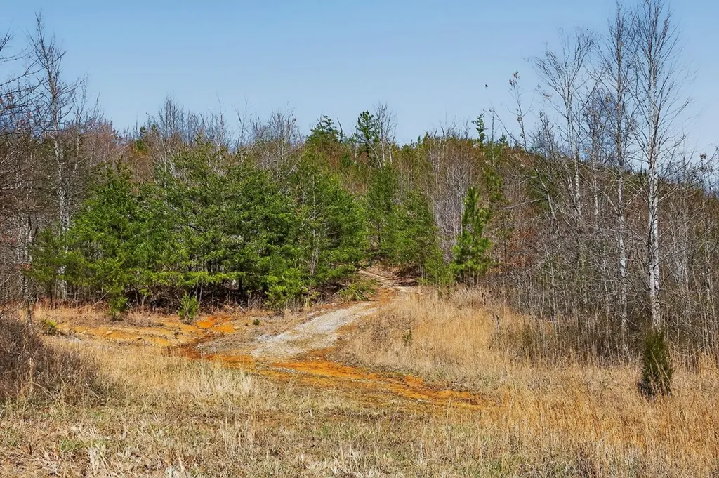 573AC Daus Mountain Road Palmer TN 38365
