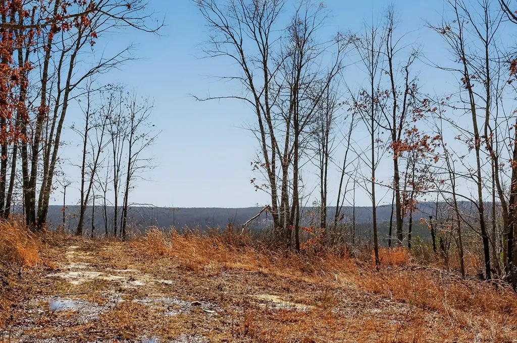573AC Daus Mountain Road Palmer TN 38365