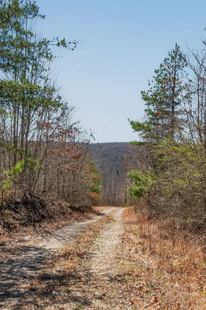 573AC Daus Mountain Road Palmer TN 38365