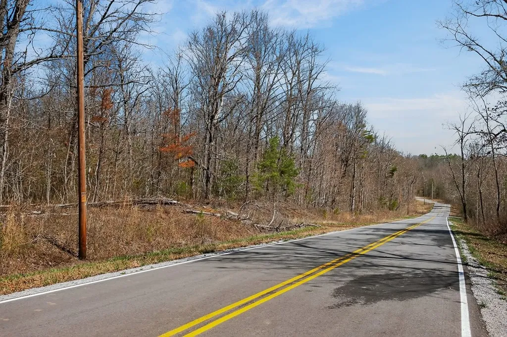 573AC Daus Mountain Road Palmer TN 38365