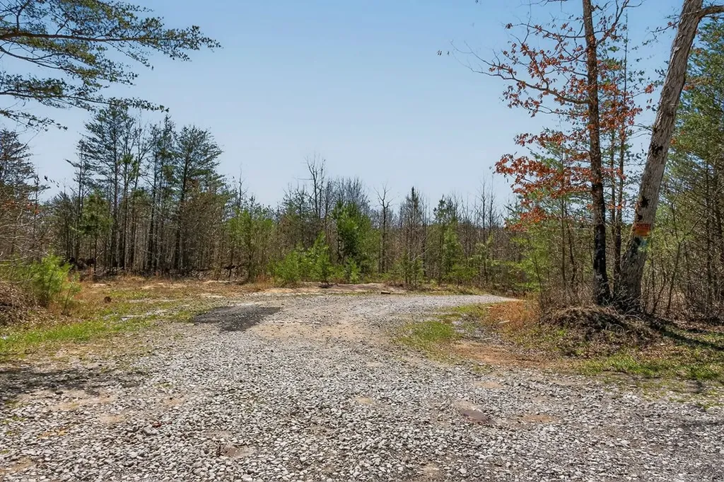 573AC Daus Mountain Road Palmer TN 38365
