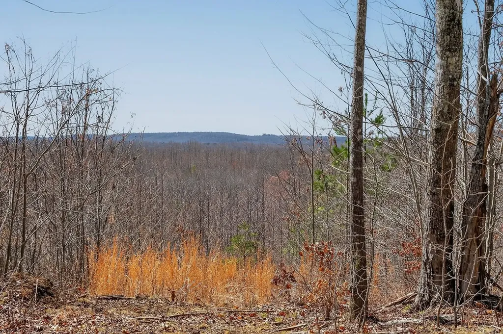 573AC Daus Mountain Road Palmer TN 38365