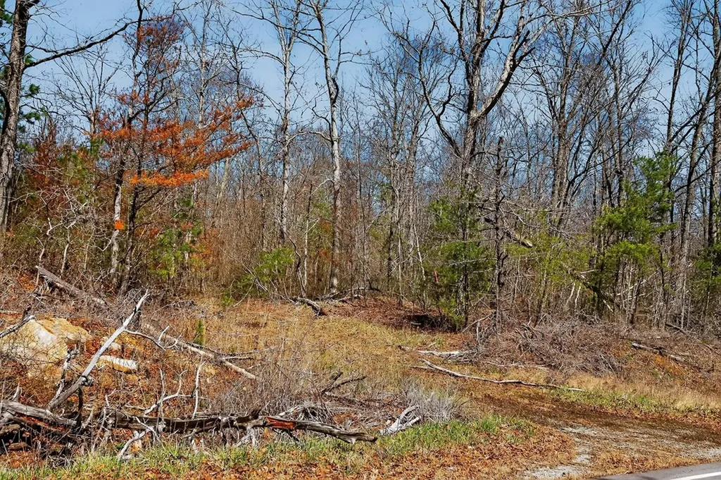 573AC Daus Mountain Road Palmer TN 38365