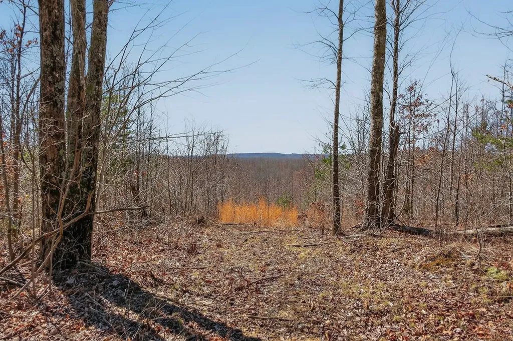 573AC Daus Mountain Road Palmer TN 38365