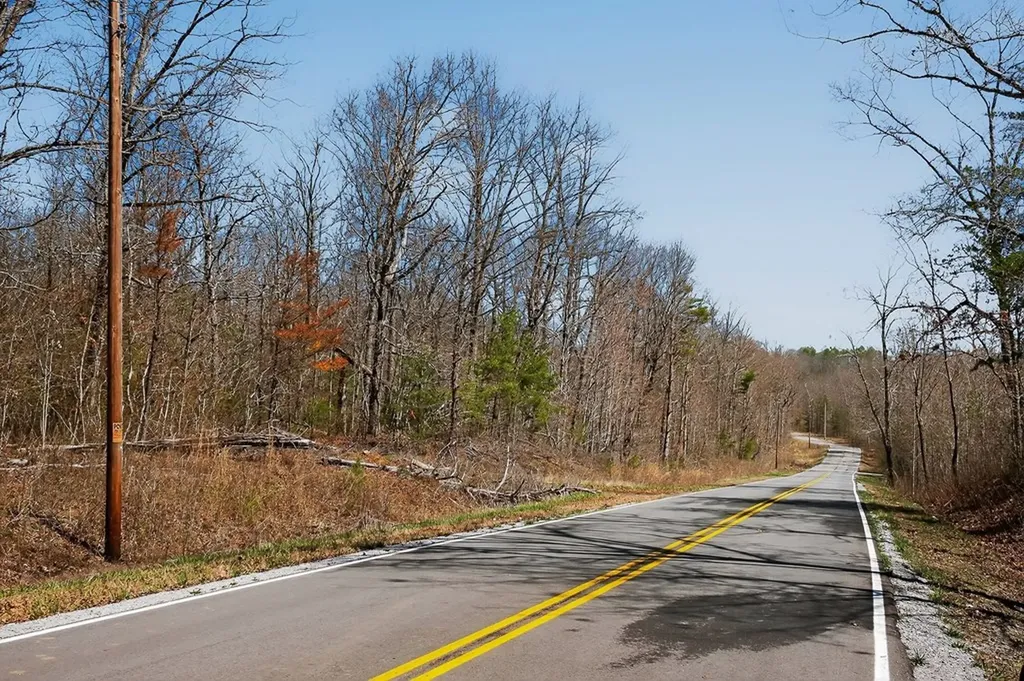 573AC Daus Mountain Road Palmer TN 38365