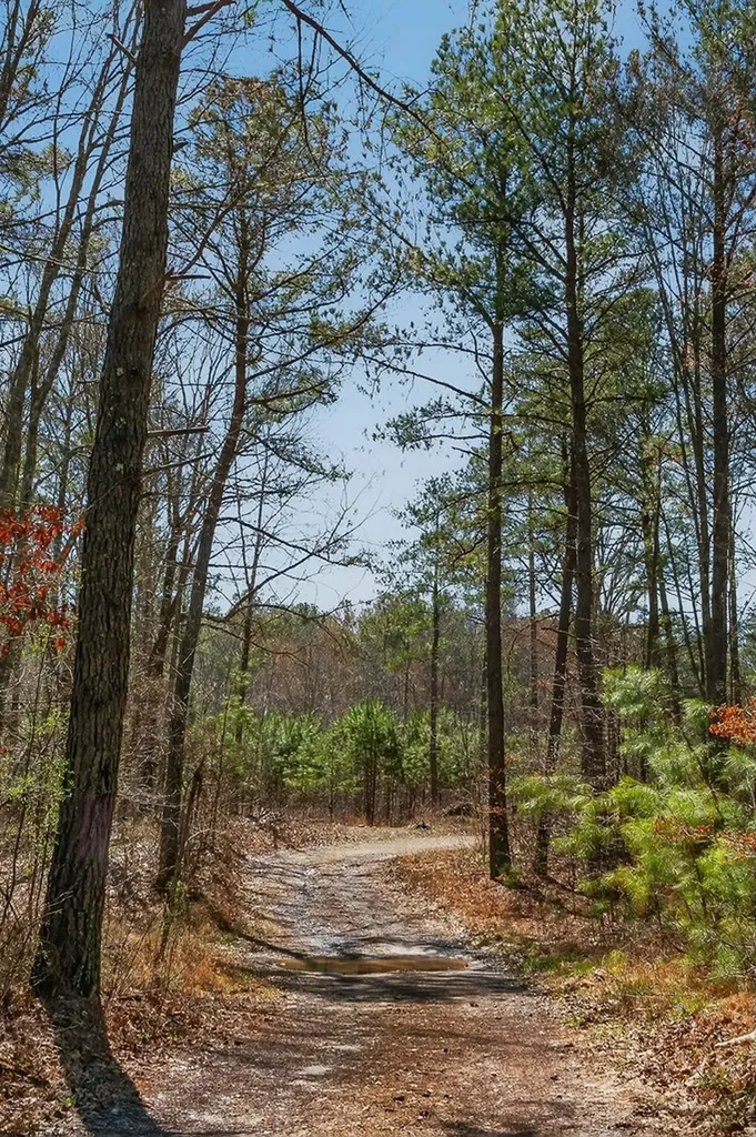 573AC Daus Mountain Road Palmer TN 38365