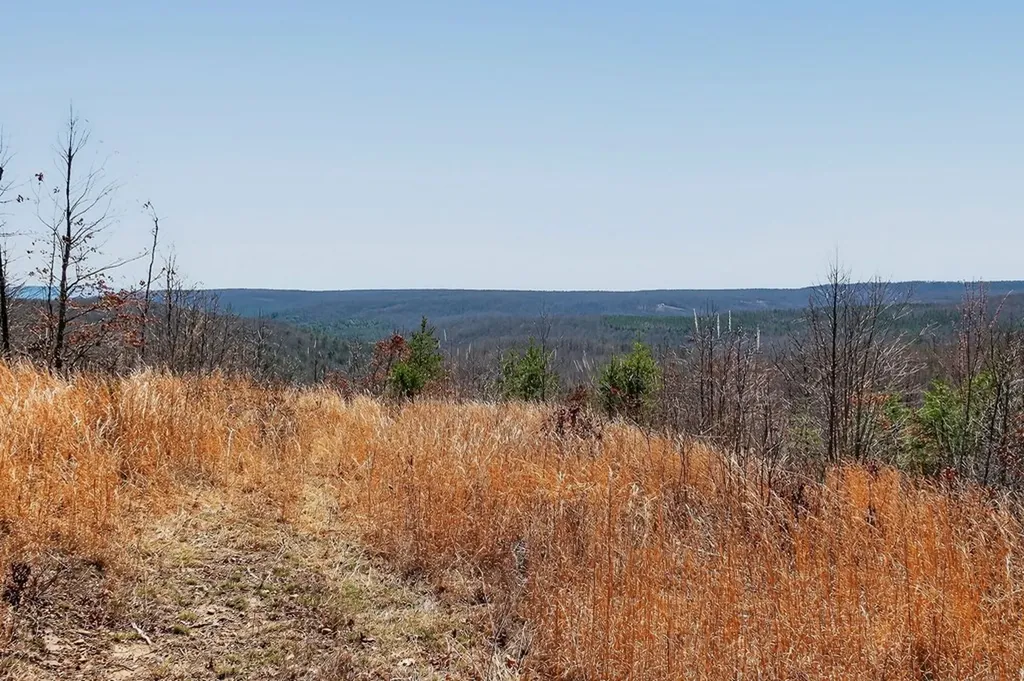 573AC Daus Mountain Road Palmer TN 38365