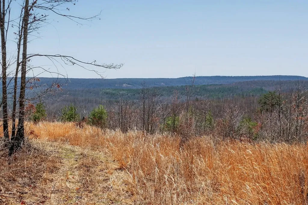 573AC Daus Mountain Road Palmer TN 38365