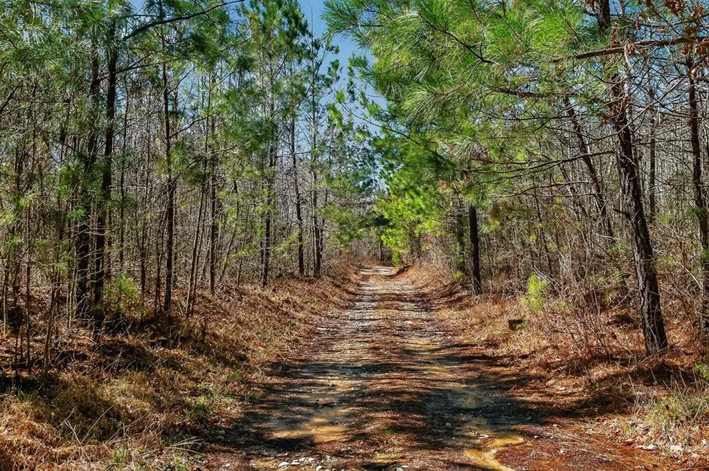 573AC Daus Mountain Road Palmer TN 38365