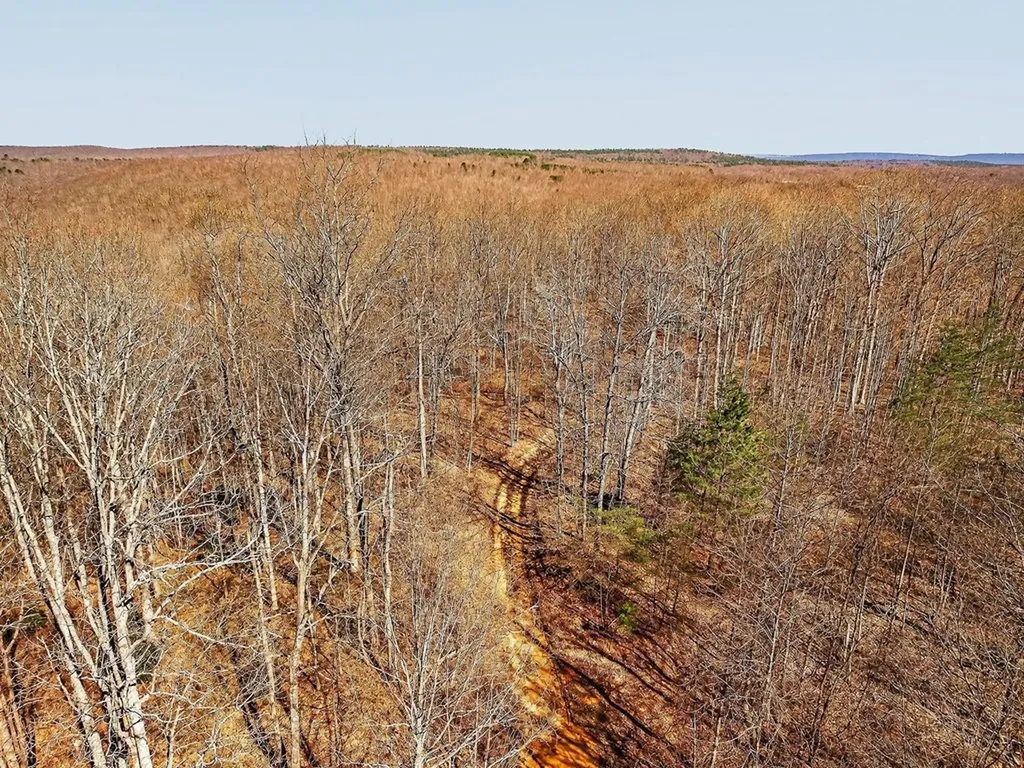 573AC Daus Mountain Road Palmer TN 38365