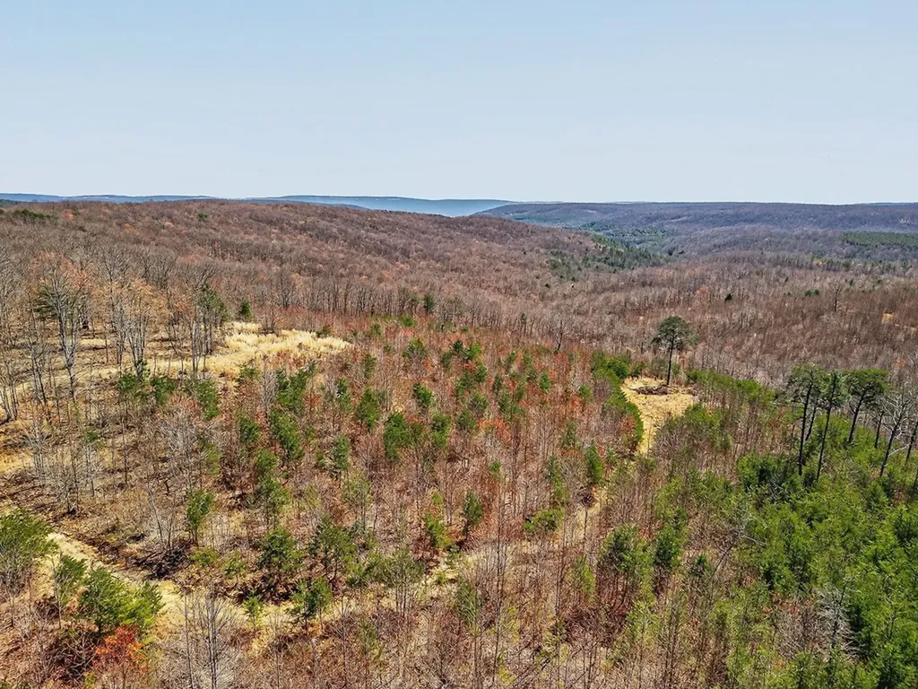 573AC Daus Mountain Road Palmer TN 38365