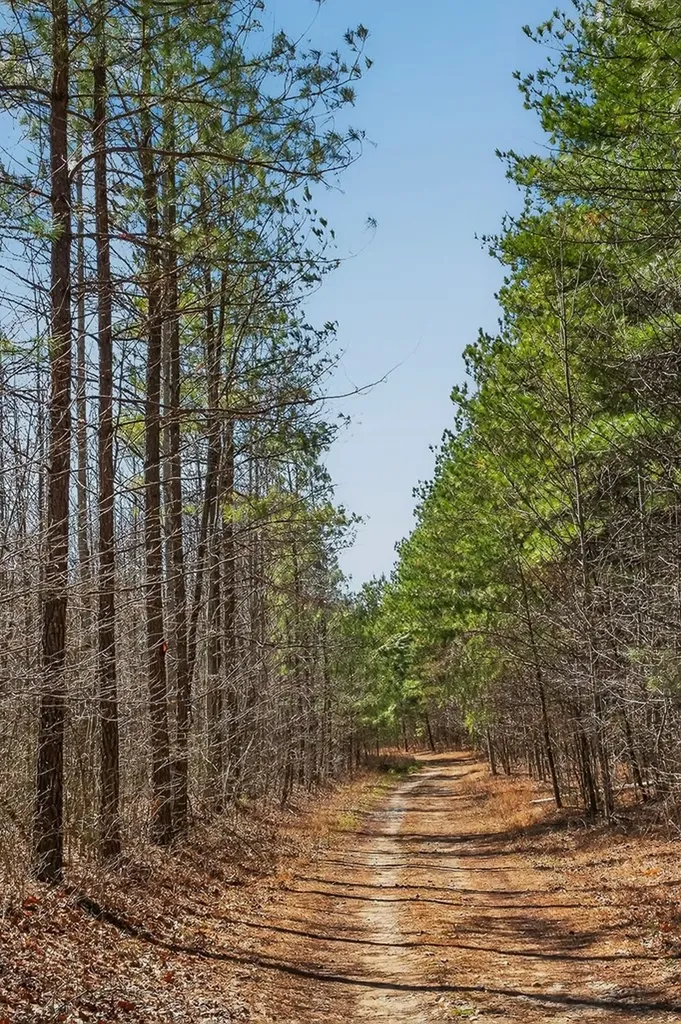 573AC Daus Mountain Road Palmer TN 38365