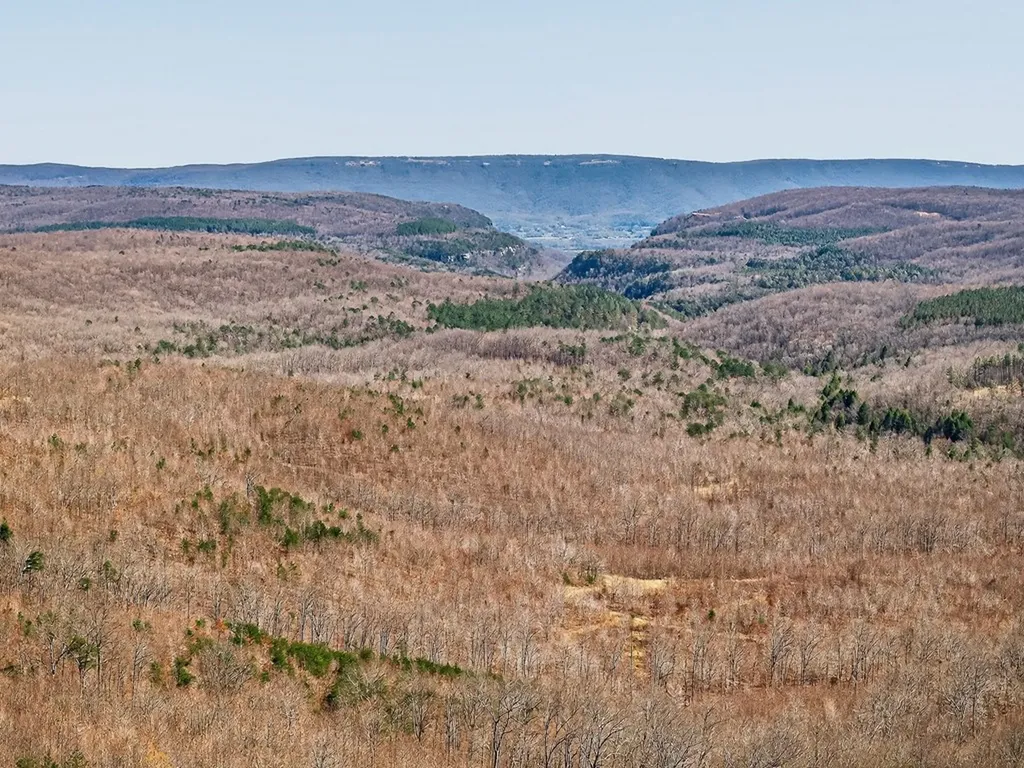 573AC Daus Mountain Road Palmer TN 38365
