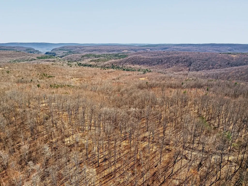 573AC Daus Mountain Road Palmer TN 38365