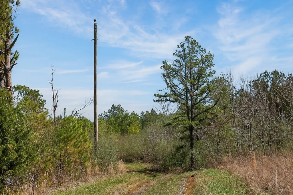 261AC Rocky River Road Spencer TN 38585