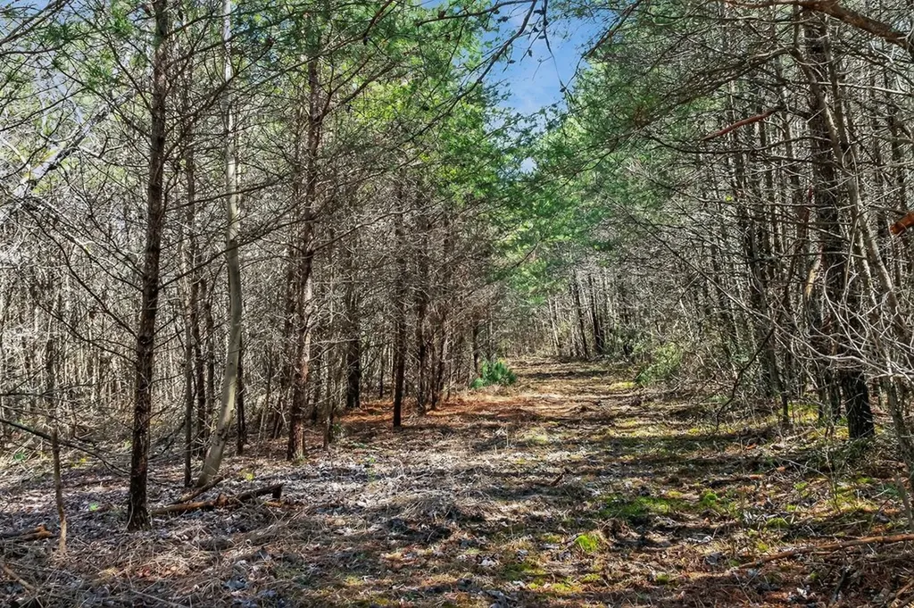 261AC Rocky River Road Spencer TN 38585