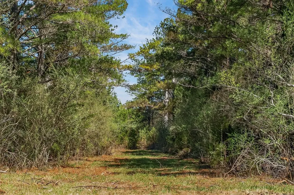 261AC Rocky River Road Spencer TN 38585