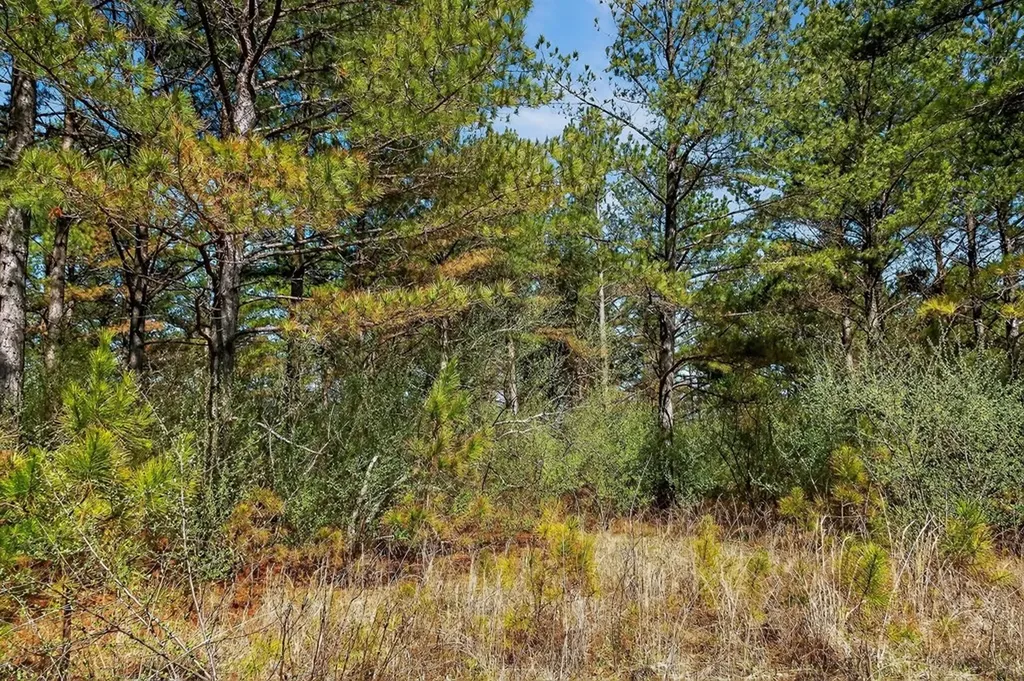 261AC Rocky River Road Spencer TN 38585
