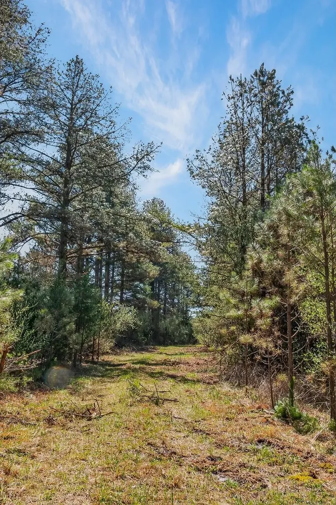 261AC Rocky River Road Spencer TN 38585