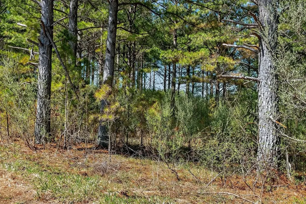 261AC Rocky River Road Spencer TN 38585