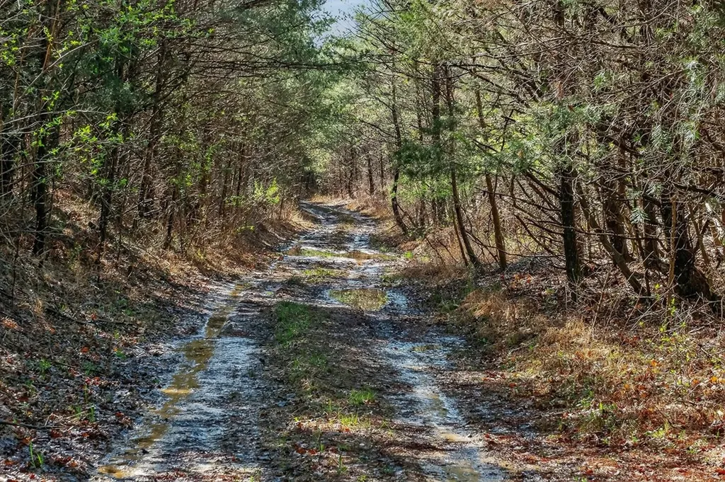 261AC Rocky River Road Spencer TN 38585