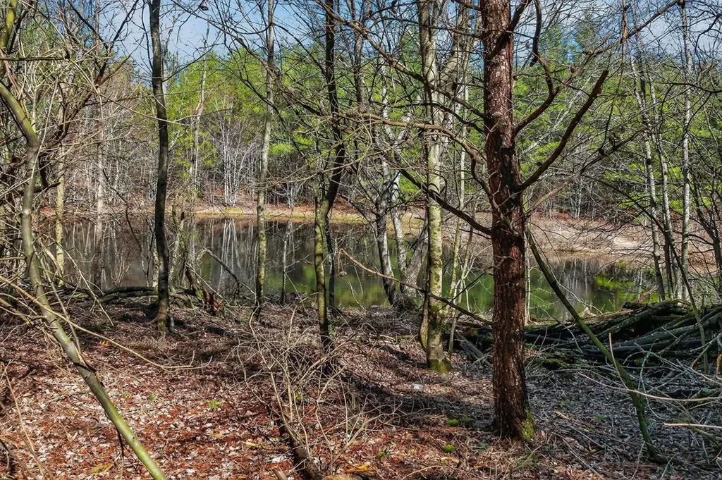 261AC Rocky River Road Spencer TN 38585