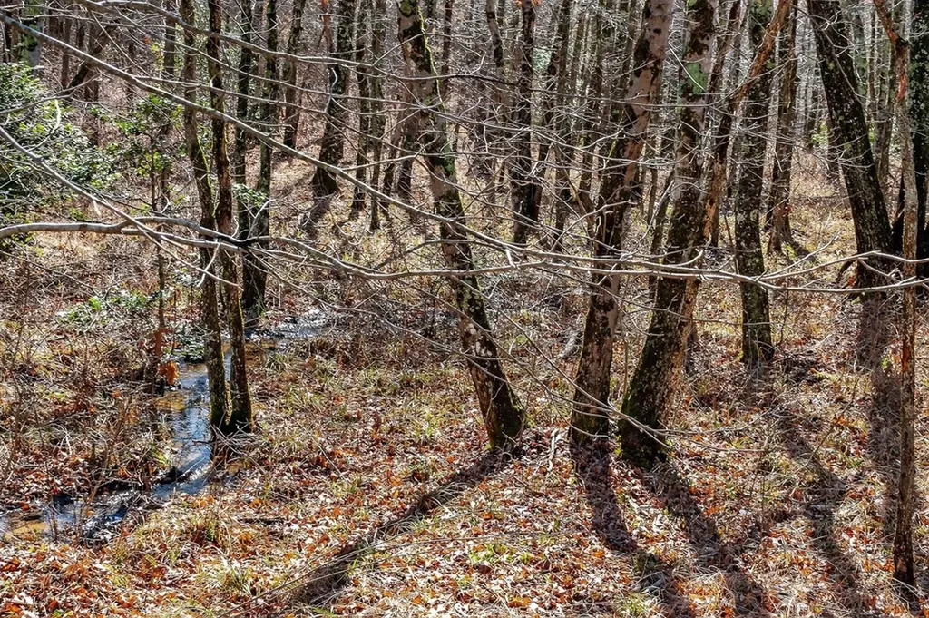 261AC Rocky River Road Spencer TN 38585