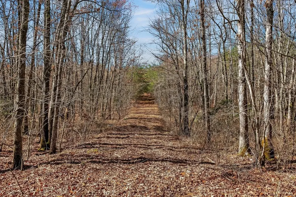 261AC Rocky River Road Spencer TN 38585