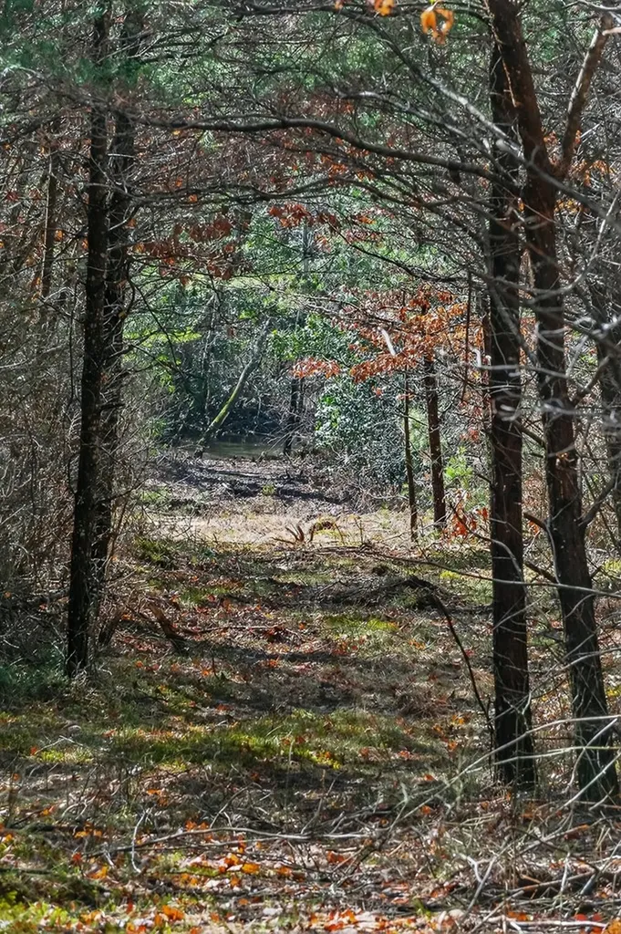 261AC Rocky River Road Spencer TN 38585