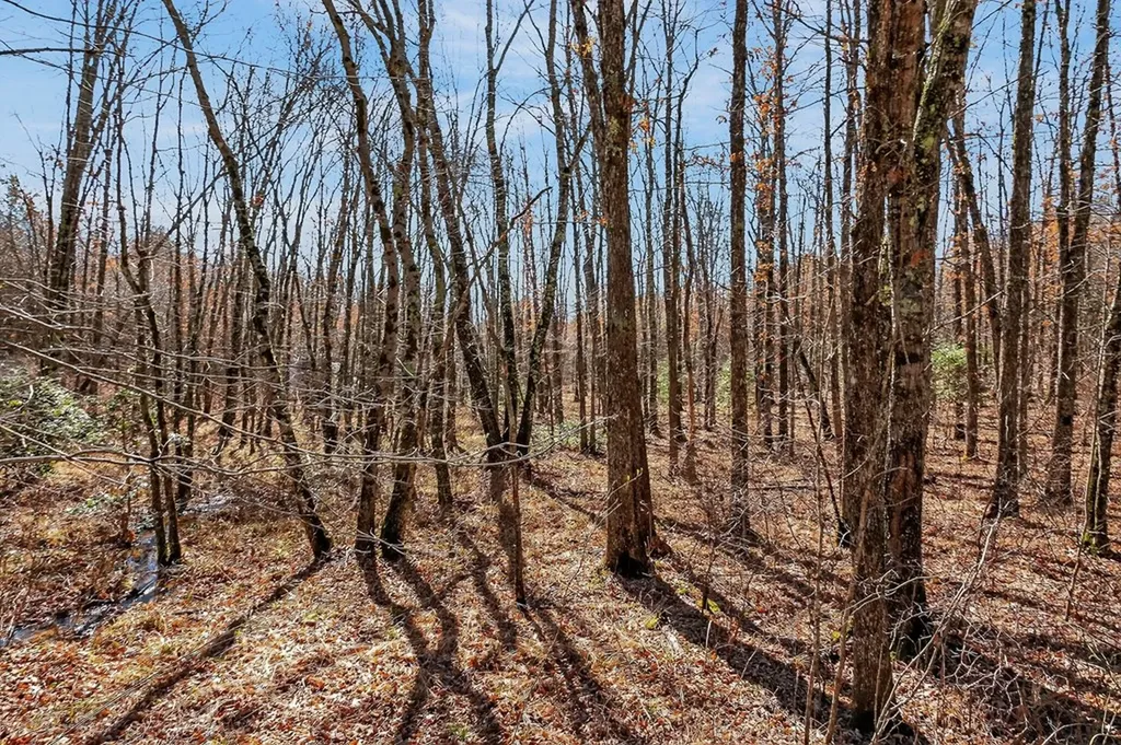 261AC Rocky River Road Spencer TN 38585