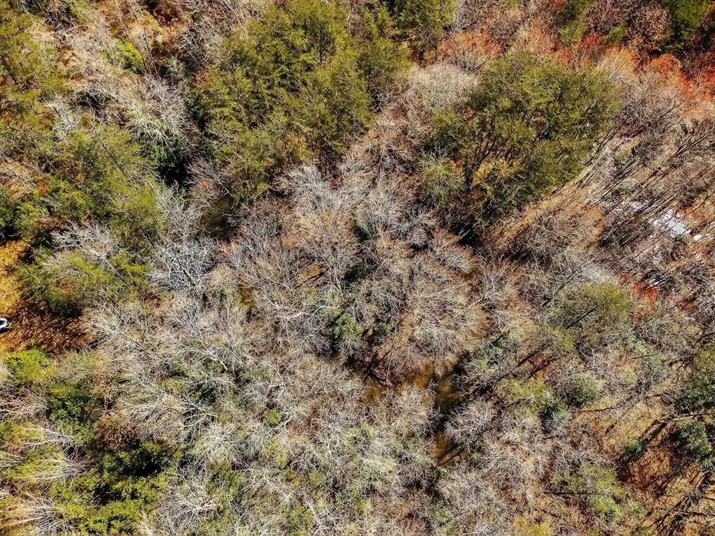261AC Rocky River Road Spencer TN 38585