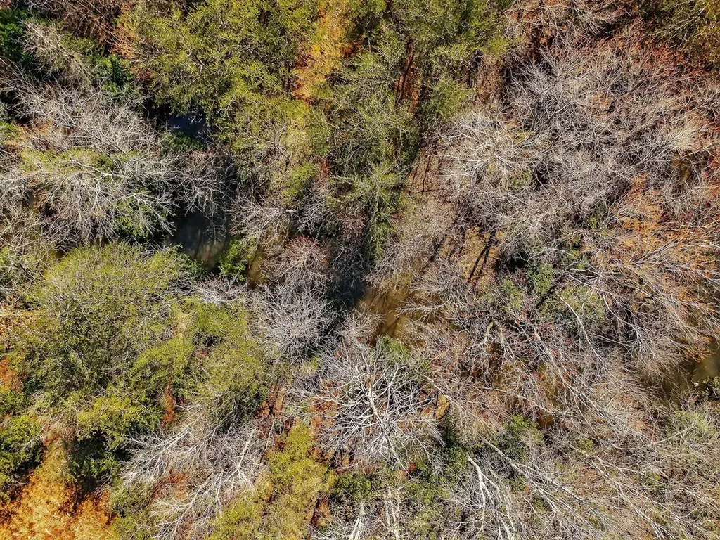 261AC Rocky River Road Spencer TN 38585