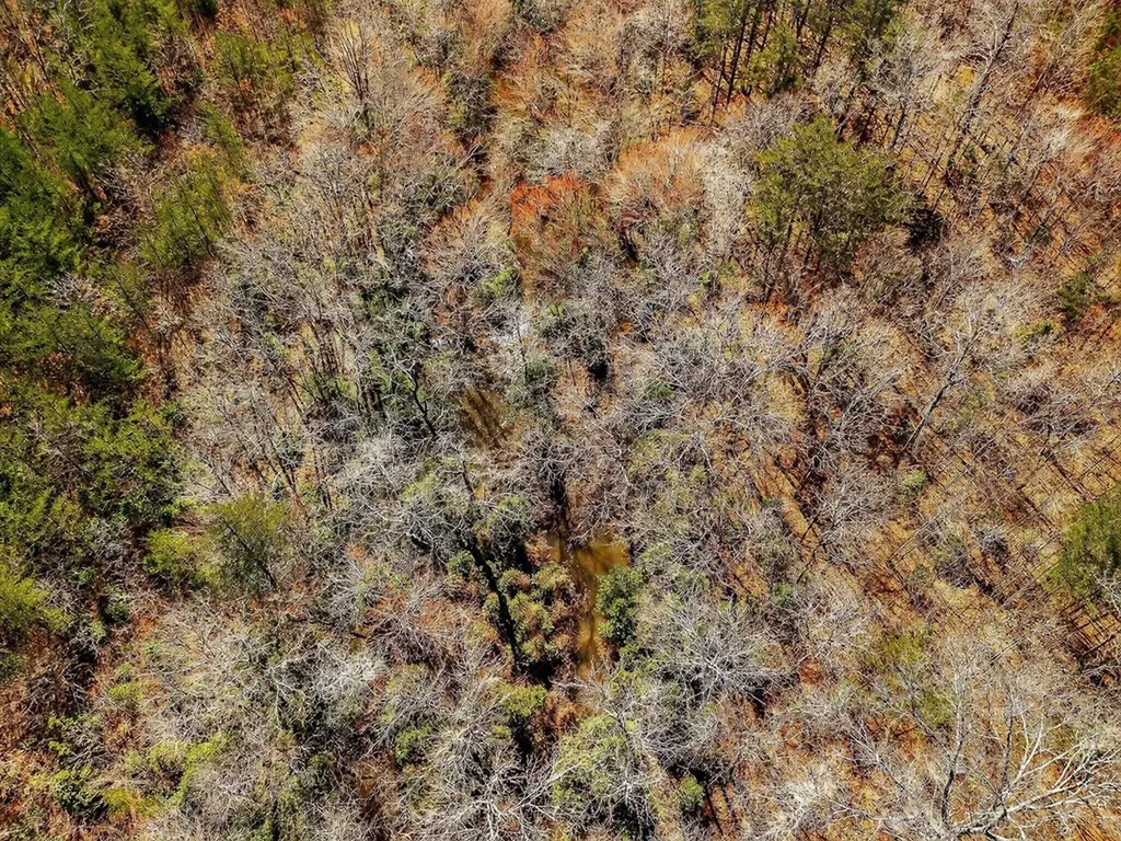 261AC Rocky River Road Spencer TN 38585