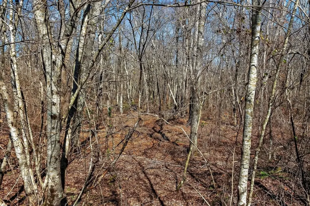 261AC Rocky River Road Spencer TN 38585