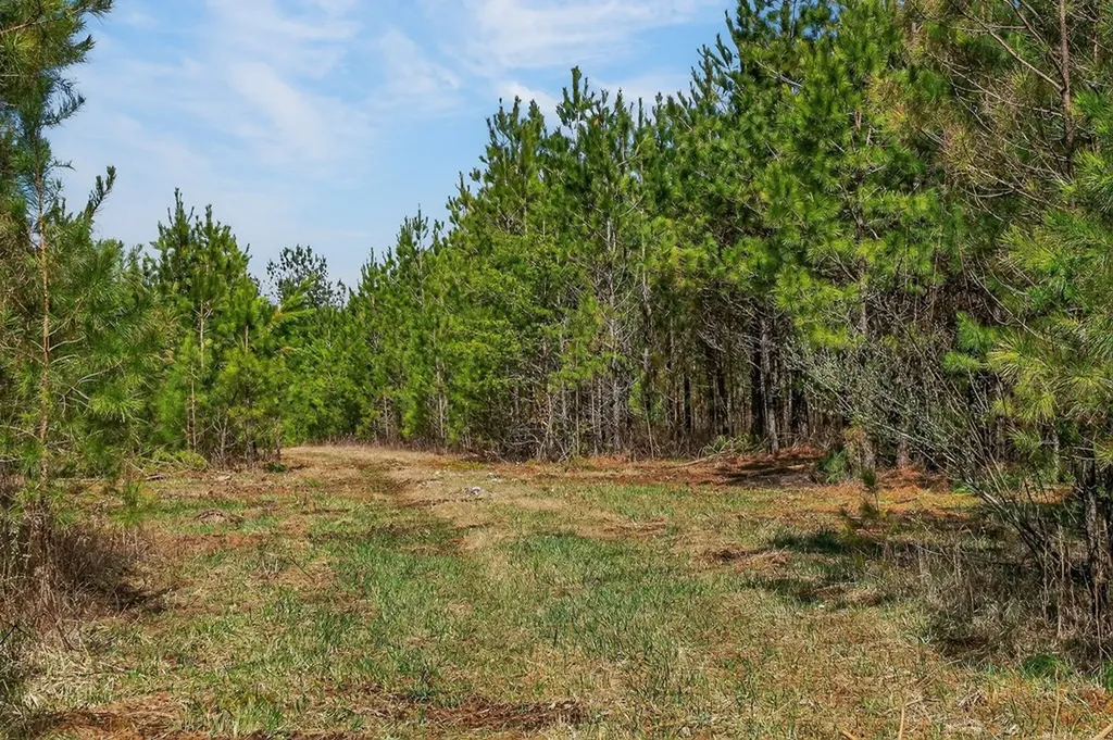 261AC Rocky River Road Spencer TN 38585
