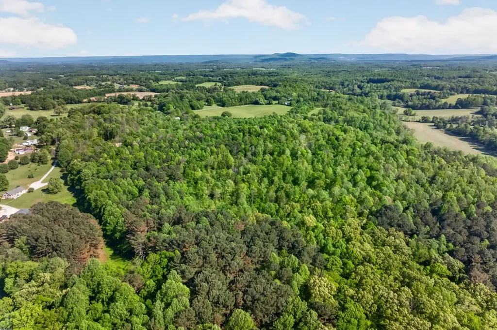24 Ac Timber Lane Mcminnville TN 37110