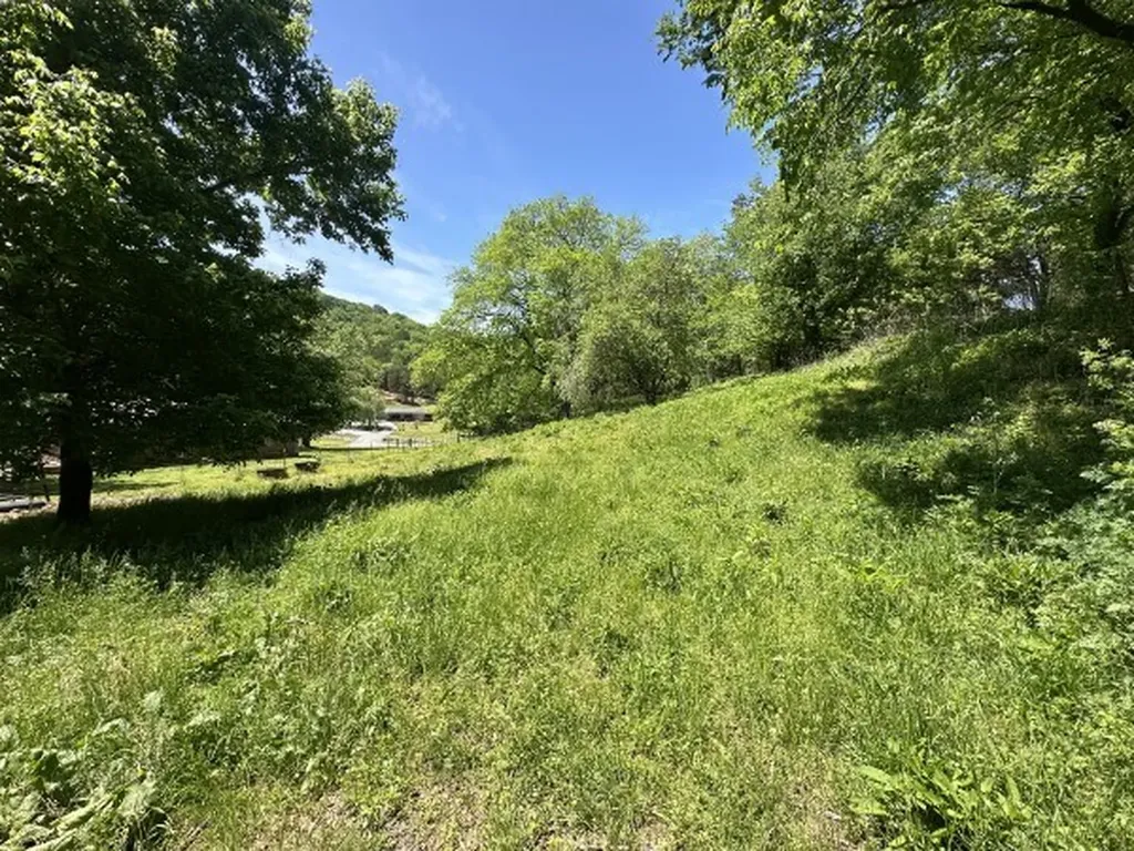 202 Maggart Road Elmwood TN 38560