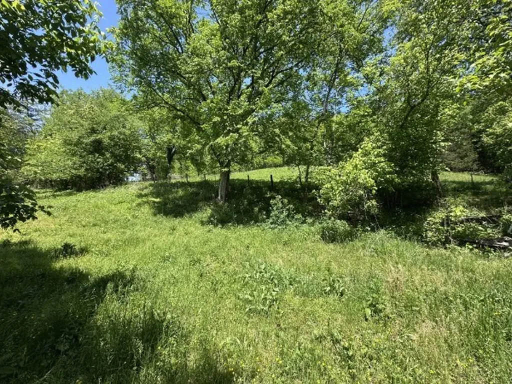 202 Maggart Road Elmwood TN 38560