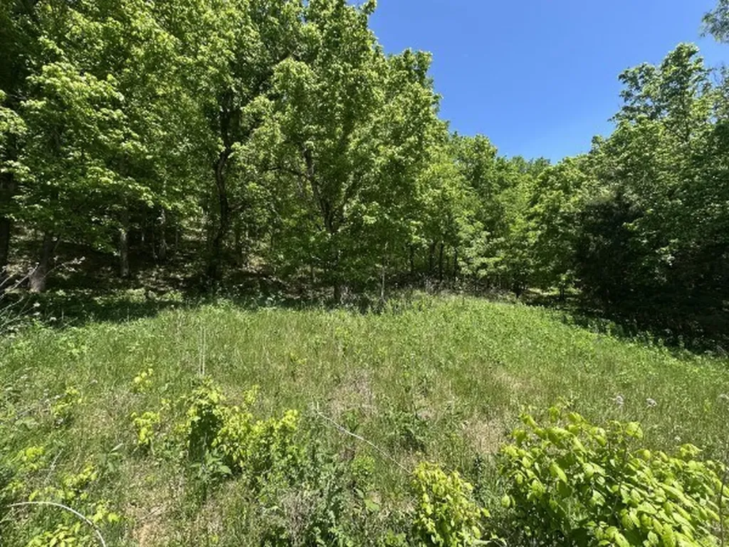 202 Maggart Road Elmwood TN 38560
